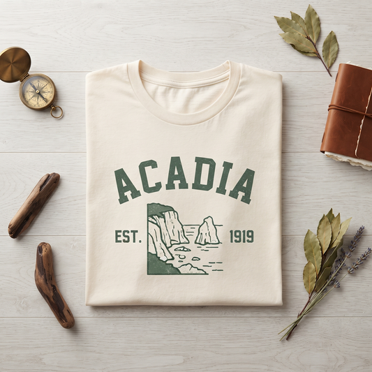 Acadia National Park Vintage Sweatshirt, Retro Coastal Vacation Hoodie