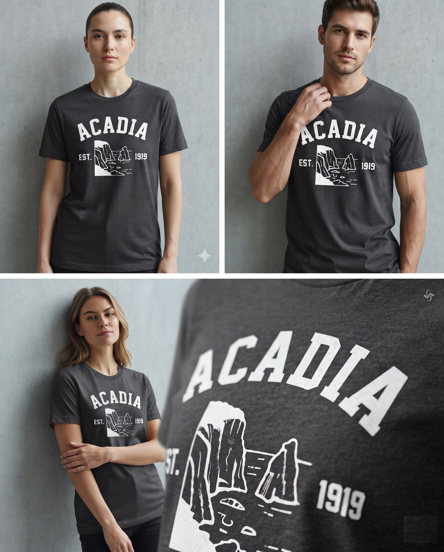 Acadia National Park Vintage Sweatshirt, Retro Coastal Vacation Hoodie