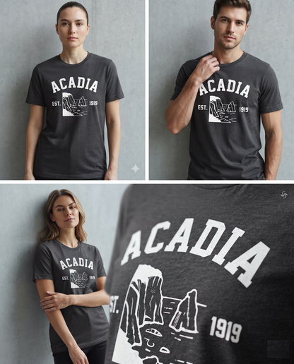 Acadia National Park Vintage Sweatshirt, Retro Coastal Vacation Hoodie