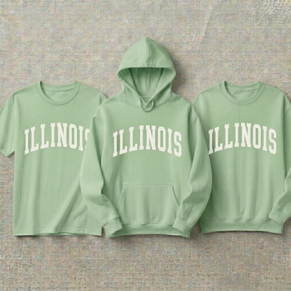 Custom Illinois Hoodie and Sweatshirt, Vintage Illinois T-shirt, Sage Green Illinois Varsity Shirt, Personalized Illinois Gift