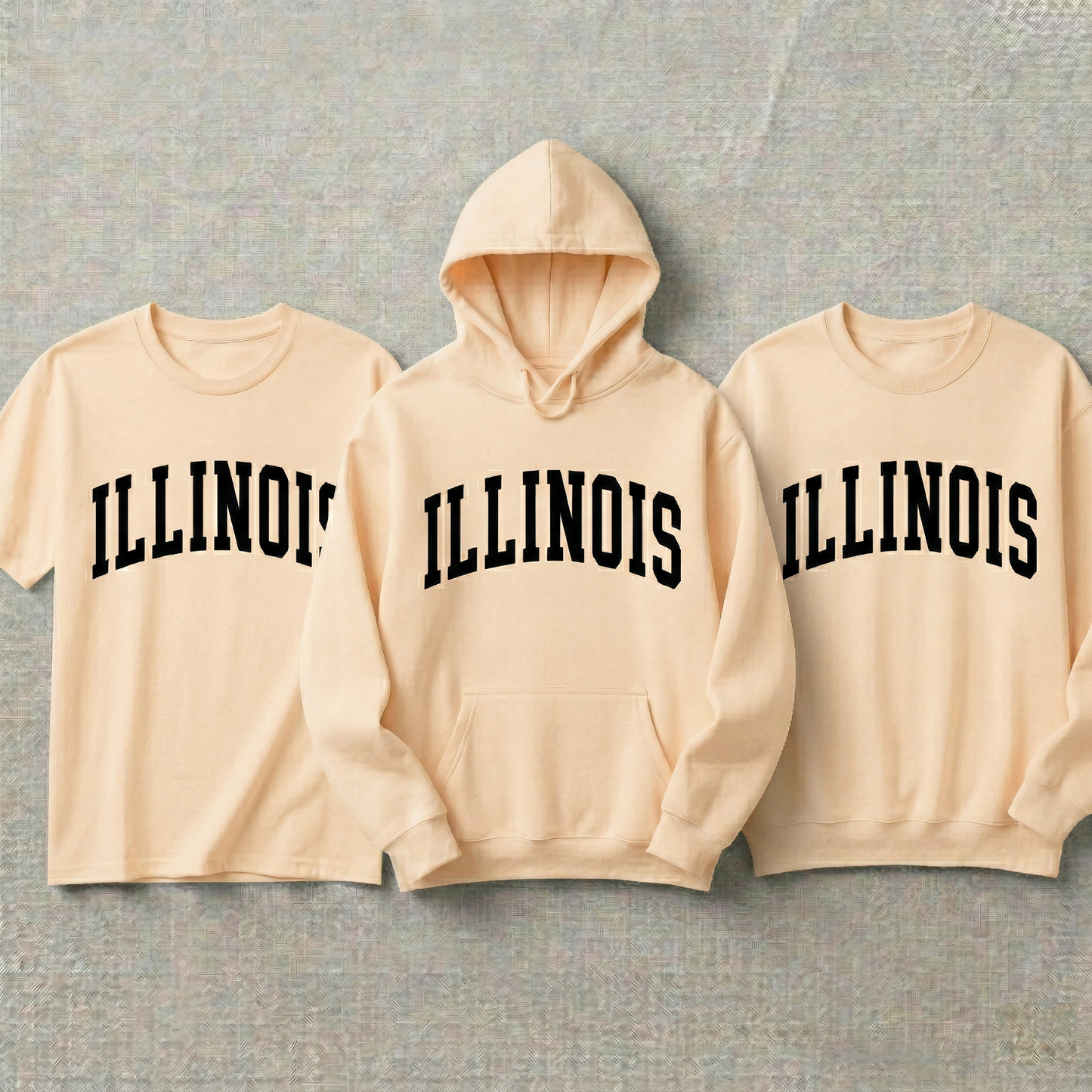 Custom Illinois Hoodie and Sweatshirt, Vintage Illinois T-shirt, Sage Green Illinois Varsity Shirt, Personalized Illinois Gift