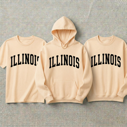 Custom Illinois Hoodie and Sweatshirt, Vintage Illinois T-shirt, Sage Green Illinois Varsity Shirt, Personalized Illinois Gift