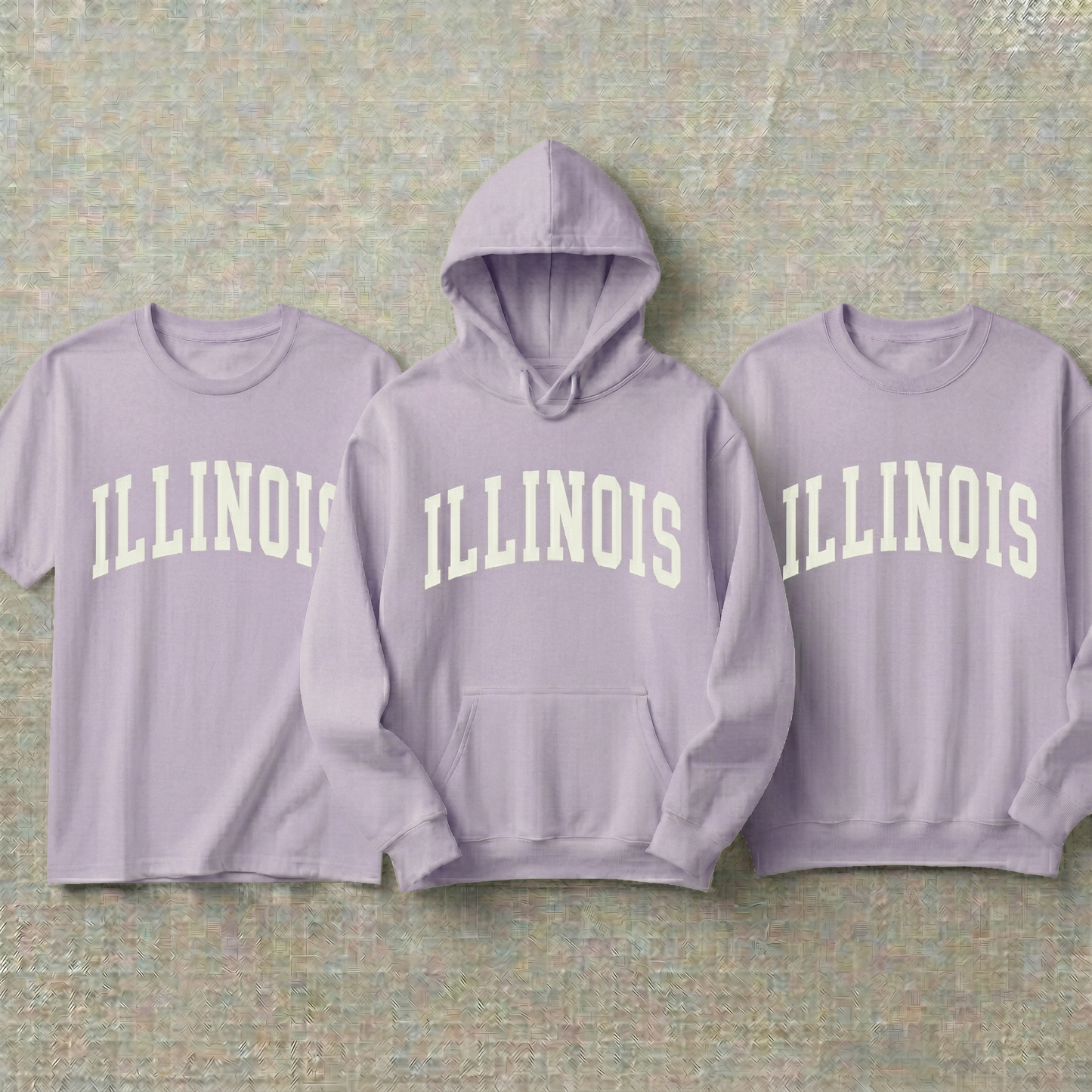 Custom Illinois Hoodie and Sweatshirt, Vintage Illinois T-shirt, Sage Green Illinois Varsity Shirt, Personalized Illinois Gift