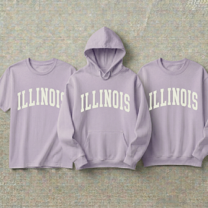 Custom Illinois Hoodie and Sweatshirt, Vintage Illinois T-shirt, Sage Green Illinois Varsity Shirt, Personalized Illinois Gift