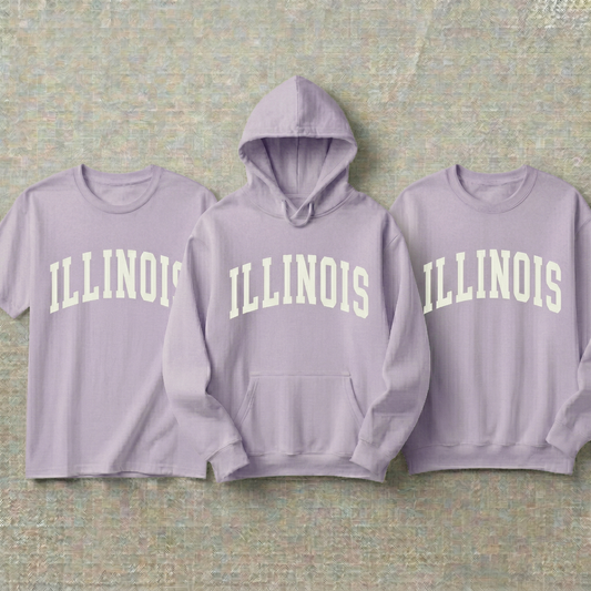 Custom Illinois Hoodie and Sweatshirt, Vintage Illinois T-shirt, Sage Green Illinois Varsity Shirt, Personalized Illinois Gift