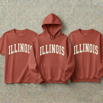 Custom Illinois Hoodie and Sweatshirt, Vintage Illinois T-shirt, Sage Green Illinois Varsity Shirt, Personalized Illinois Gift