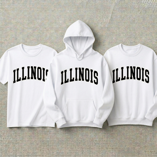 Custom Illinois Hoodie and Sweatshirt, Vintage Illinois T-shirt, Sage Green Illinois Varsity Shirt, Personalized Illinois Gift