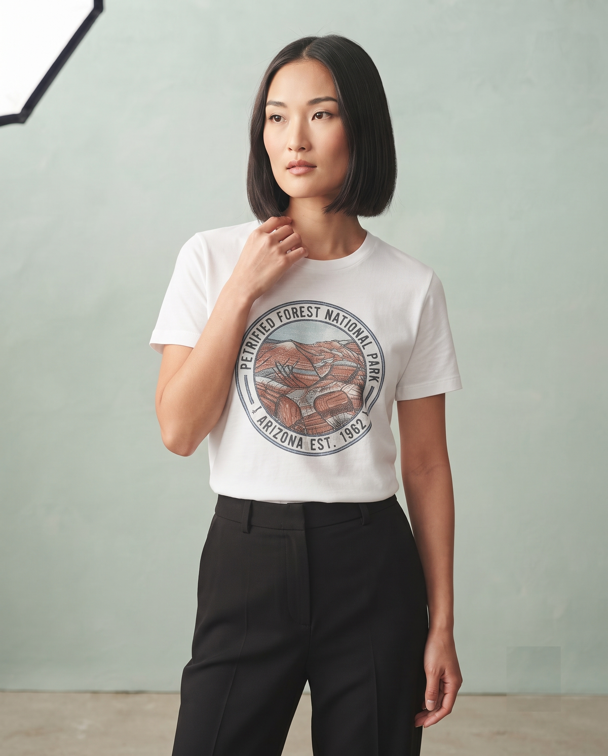 Petrified Forest National Park Arizona Retro T-Shirt (Est. 1962)