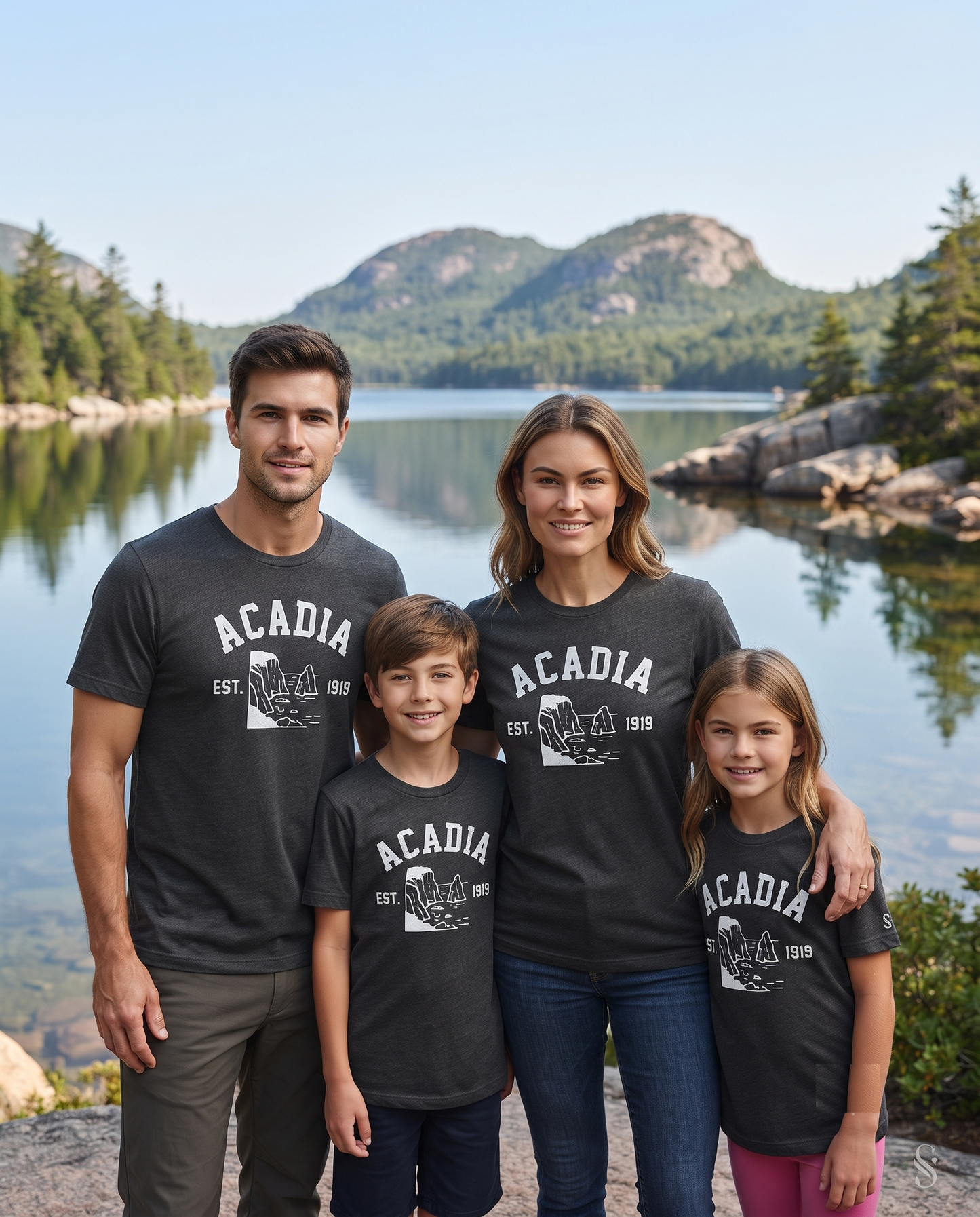Acadia National Park Vintage Sweatshirt, Retro Coastal Vacation Hoodie