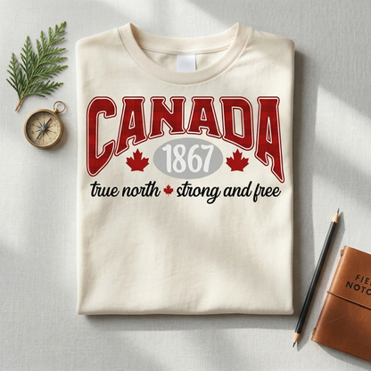 Vintage Canada Hoodie, Retro Canadian Pride Sweatshirt, True North Strong and Free Pullover,Canada Souvenir Gift, Unisex Aesthetic Hoodie