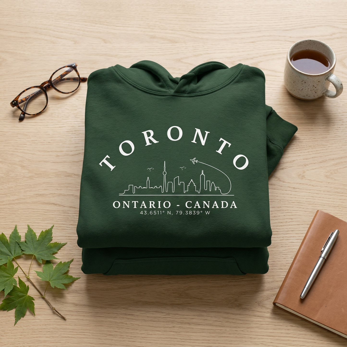 Custom Toronto Skyline Hoodie | Personalized Coordinates Sweatshirt | Line Art Cityscape Sweater | Ontario Travel Souvenir Gift