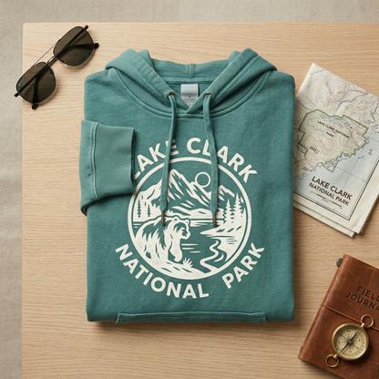 Custom Saguaro National Park Hoodie – Vintage Arizona Cactus Sweatshirt
