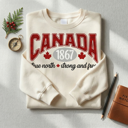 Vintage Canada Hoodie, Retro Canadian Pride Sweatshirt, True North Strong and Free Pullover,Canada Souvenir Gift, Unisex Aesthetic Hoodie