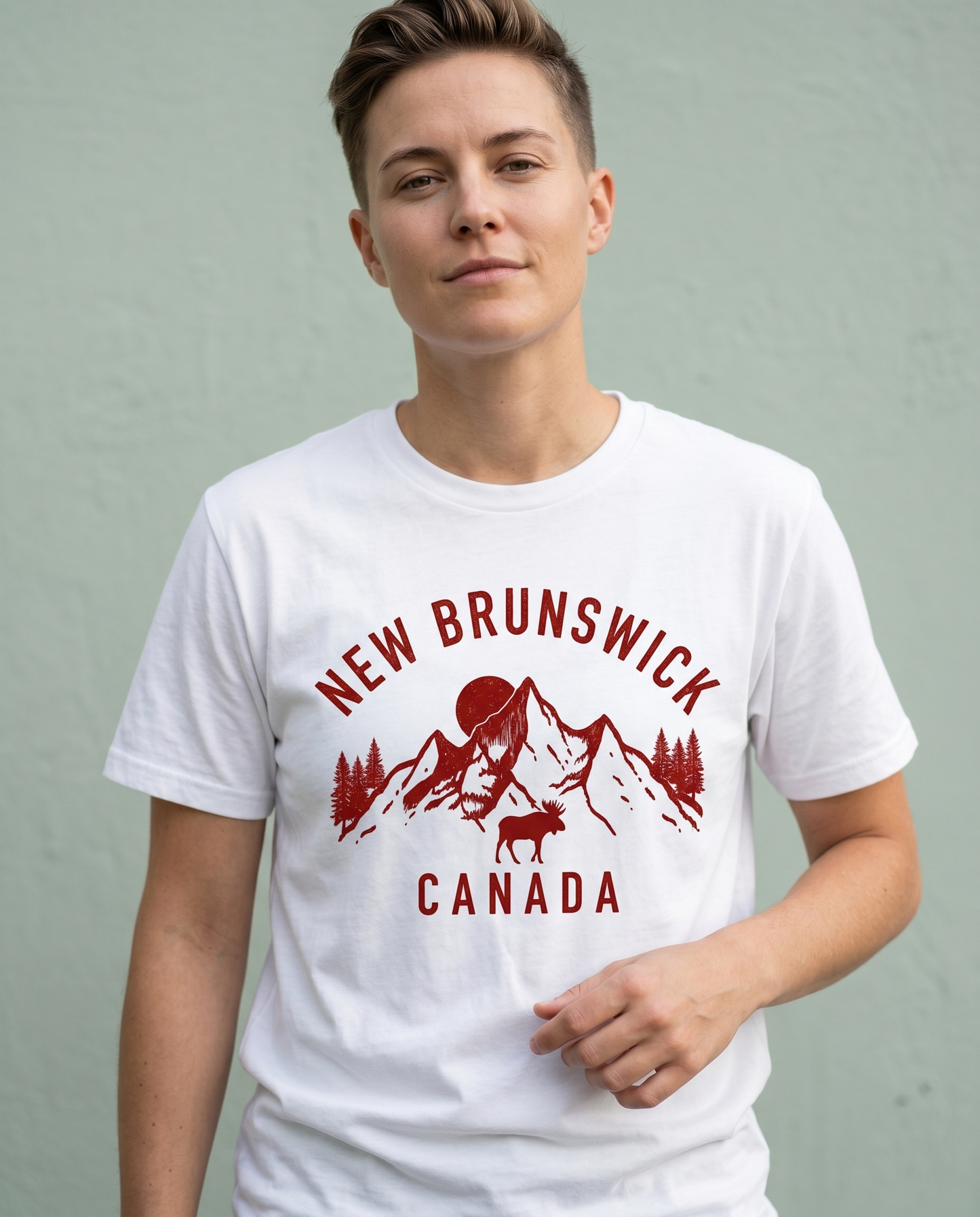 New Brunswick Canada Sweatshirt, Custom Maritime Province Hoodie, Personalized New Brunswick Shirt, Vintage Moose Mountain Tee