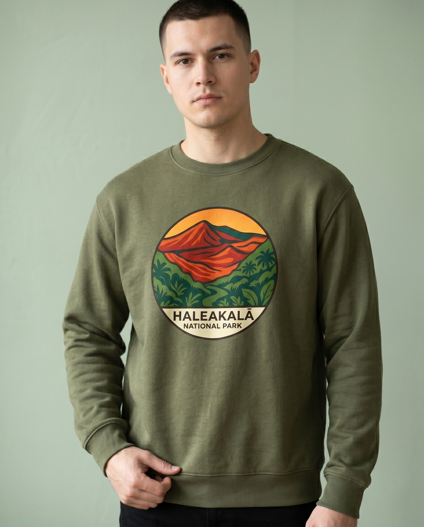 Custom Haleakalā National Park Shirt, Vintage Maui Hawaii Hoodie, Retro Nature Sweatshirt,  National Park Souvenir Apparel