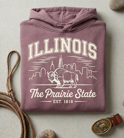 Custom Illinois Hoodie - Vintage Prairie State Sweatshirt - Retro IL 1818 Est. Pullover - Personalized Illinois Gift