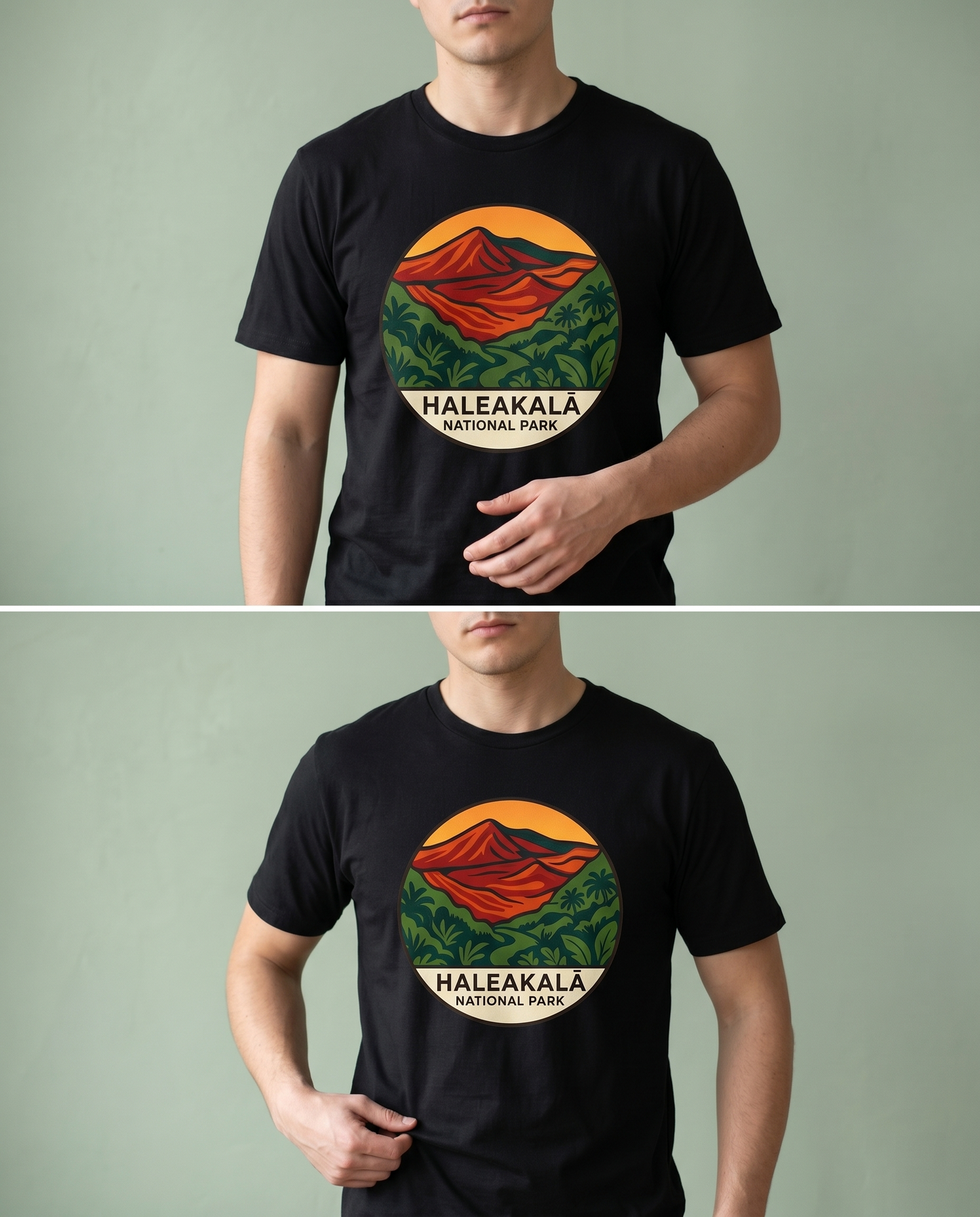 Custom Haleakalā National Park Shirt, Vintage Maui Hawaii Hoodie, Retro Nature Sweatshirt,  National Park Souvenir Apparel