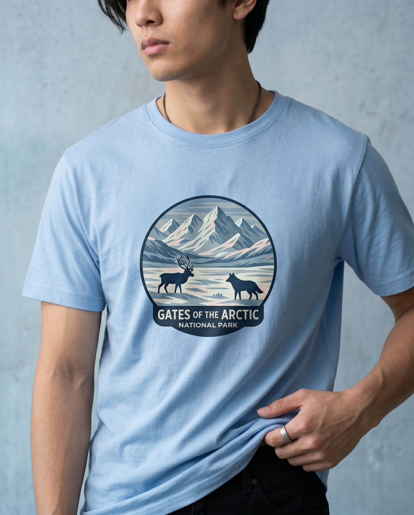 Custom Gates of the Arctic National Park Hoodie, Personalized Alaska Wildlife Sweatshirt, Retro National Park T-Shirt, Custom Outdoorsy Gift